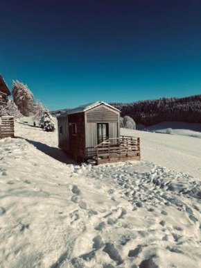 Tiny house Vata